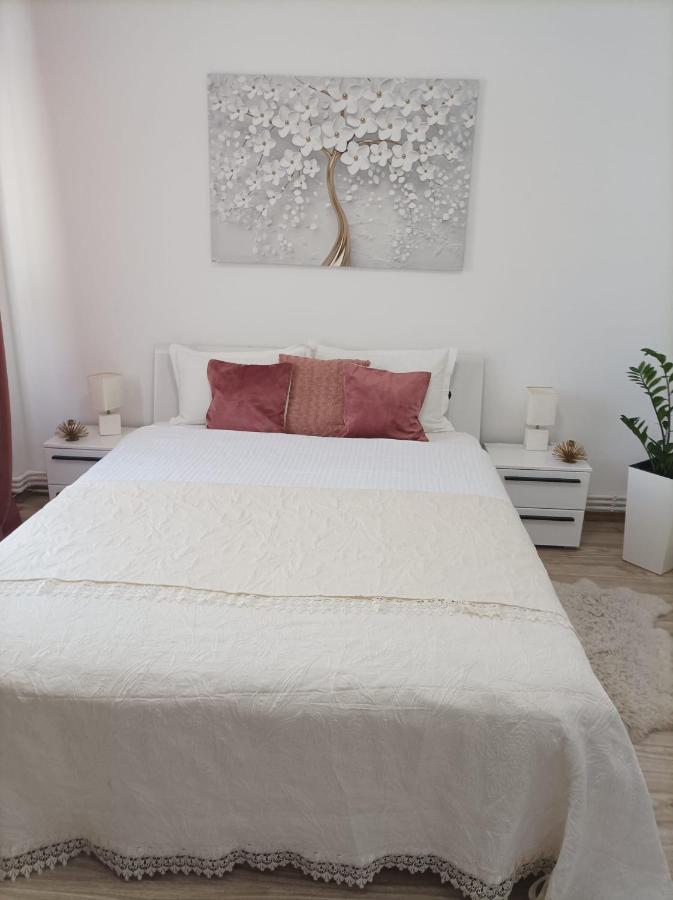 Soft Apartments 加拉茨 外观 照片